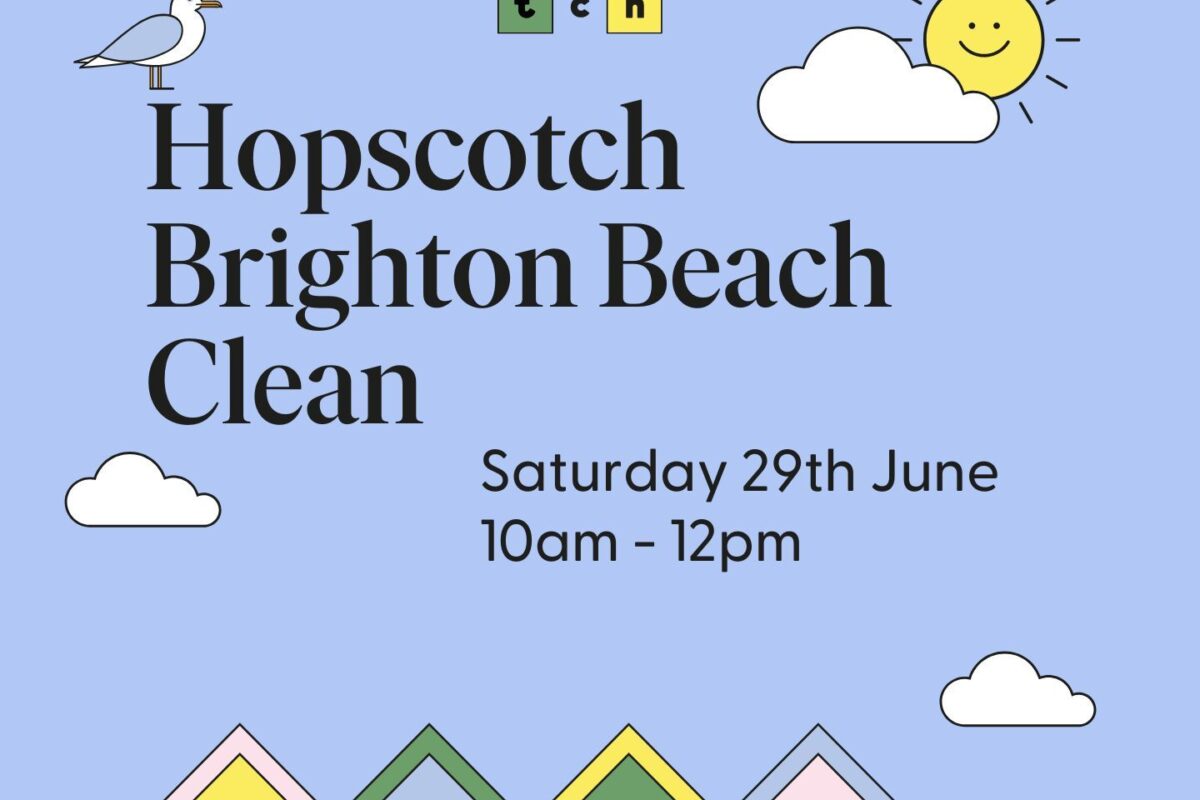 Brighton Beach Clean 2