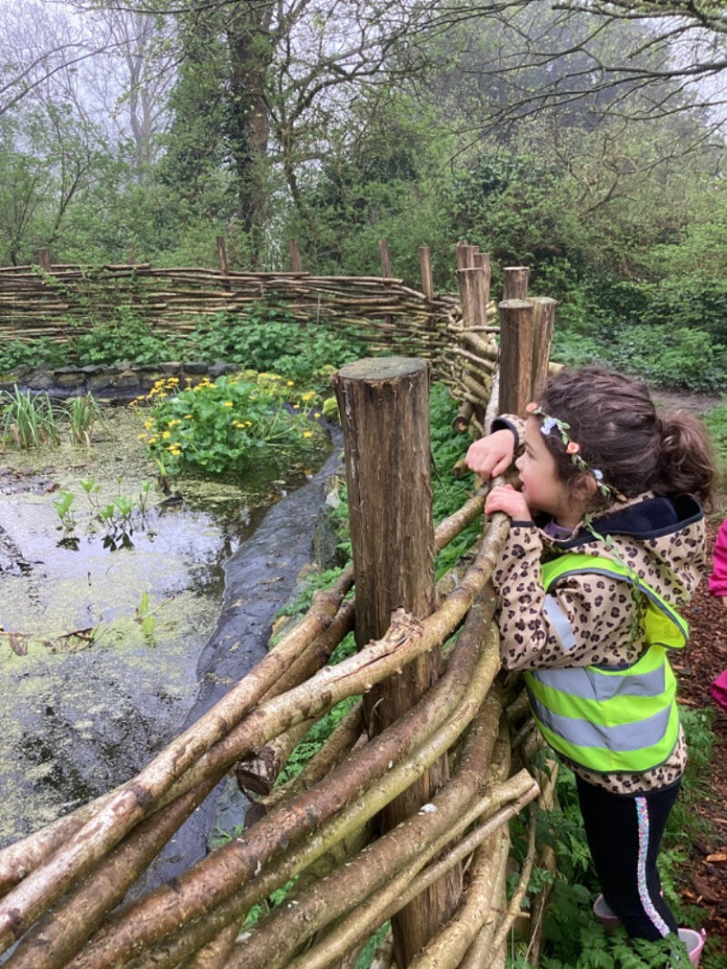 Hopscotch Explorers Forest School Preston Park Visit 6